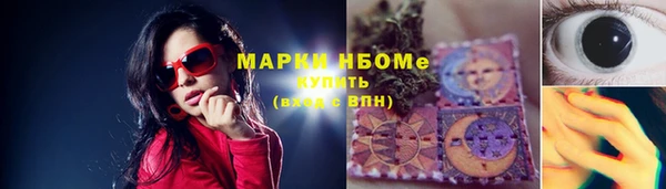метадон Богданович