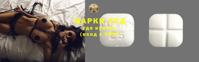 гашик Зерноград